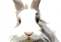 Bunnyhugga new site design