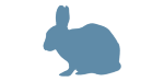 image of Rabbit health FAQs
