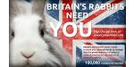 image of Petition the UK government to introduce a Code of Practice for rabbits