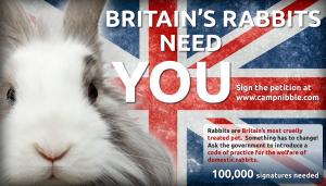 image of Petition the UK government to introduce a Code of Practice for the welfare of domestic rabbits