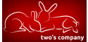 image of Bonding (introducing) rabbits