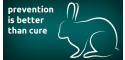 image of Grooming rabbits