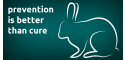 image of Nursing rabbits