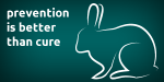 image of Neutering male rabbits