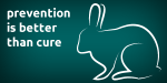 image of Nursing rabbits