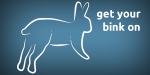 image of Litter training rabbits