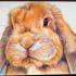Personalised artwork by Kelly Anderson raising funds for rabbits in need
