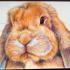 Personalised artwork by Kelly Anderson raising funds for rabbits in need