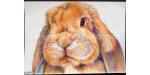 image of Personalised artwork in aid of rabbits in need