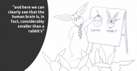 image of A unique take on life from the rabbits' point of view